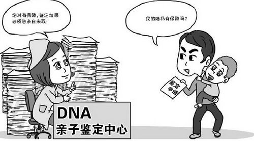 南宁DNA亲子鉴定机构,南宁亲子鉴定怎么做